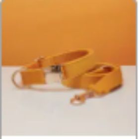 Multiple Colour Velvet Personalise Dog Collar Leash Set With Bow (Option: Yellow set-S)