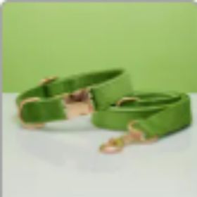 Multiple Colour Velvet Personalise Dog Collar Leash Set With Bow (Option: Green set-S)